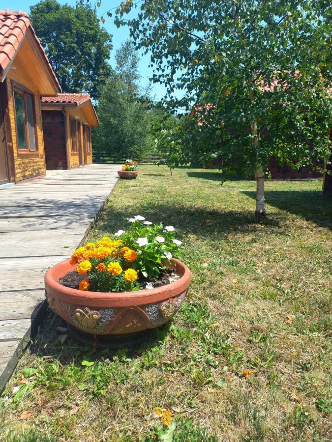 Вилно Селище Мировец Maluk Izvor (Lovech) Exterior foto